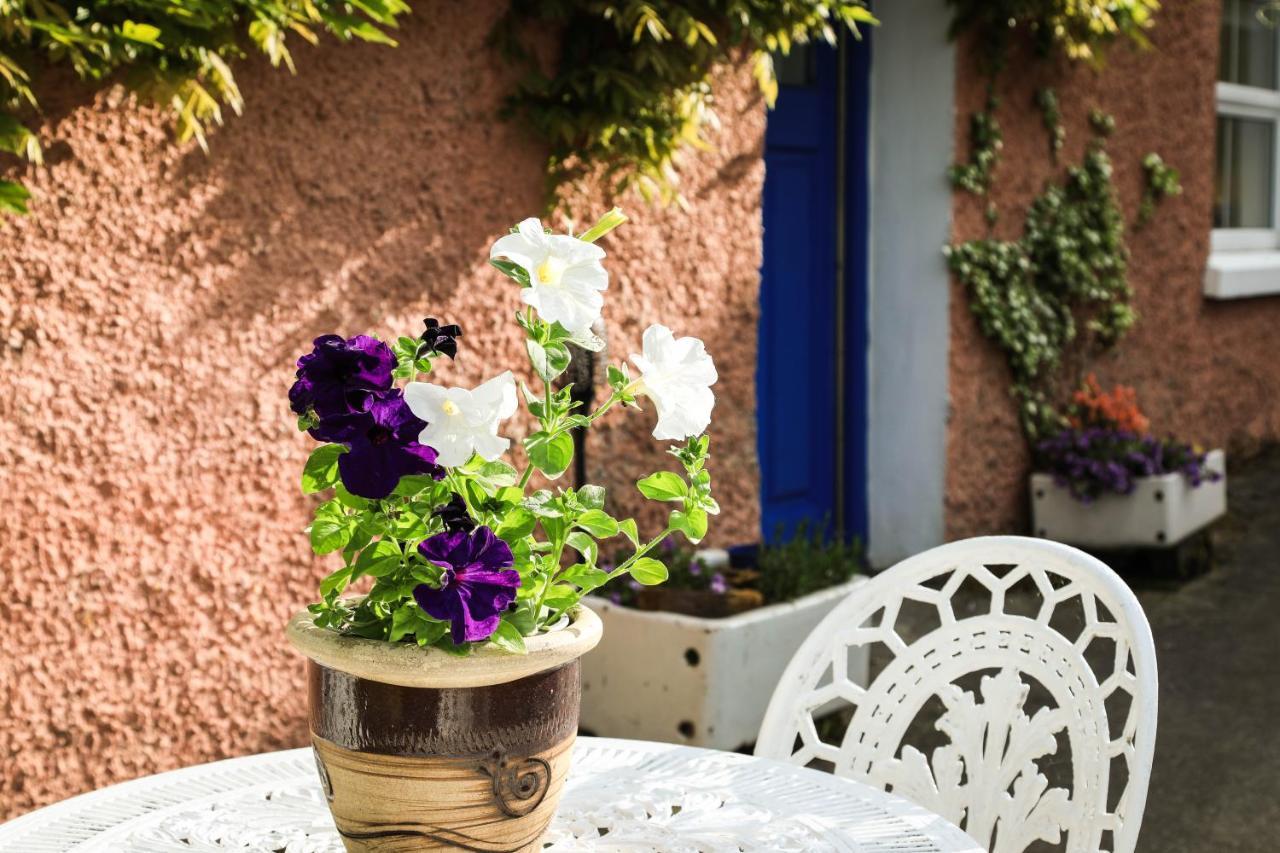 בליקונול Wisteria Cottage מראה חיצוני תמונה