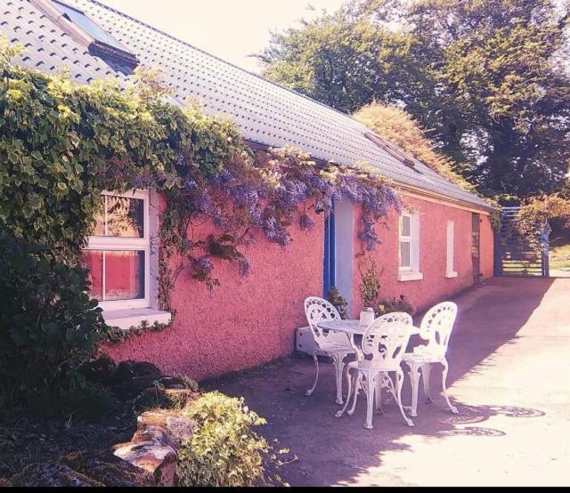 בליקונול Wisteria Cottage מראה חיצוני תמונה